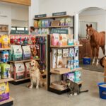 Guide til at vælge de bedste produkter til hunde katte og heste